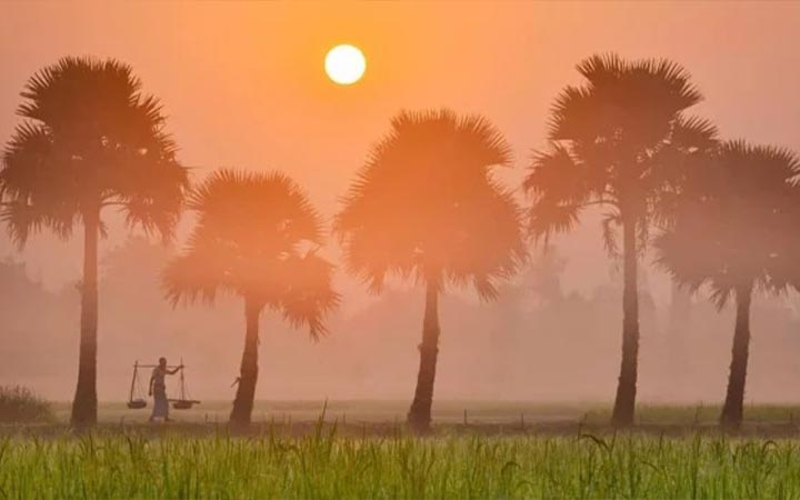 রংপুরে ঋতু বৈচিত্র্যে খেয়ালি প্রকৃতি